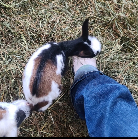 Meet your Posher, Sheri - Picture 15 of 16